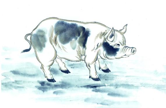 特讯:相映成趣打一准确生肖动物