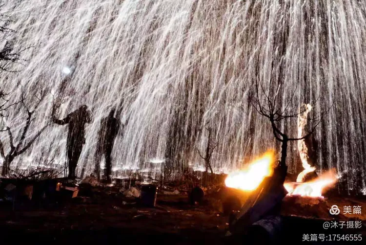 圈内揭秘:铁树银花送英雄打一最佳动物