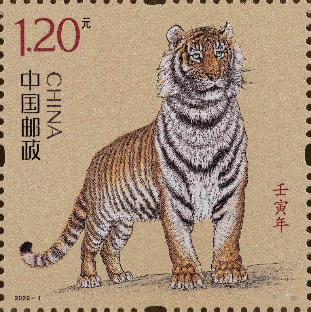 深度报道:照猫画虎猜生肖数字