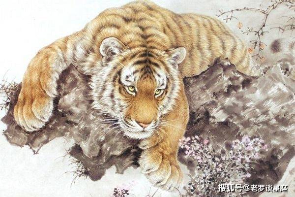 深度剖析:凡尘琐事无时尽猜指打个最佳精准代表哪一个生肖