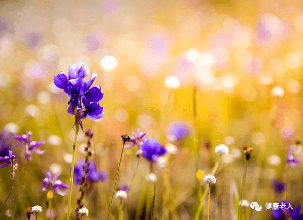 技术阐释:蓝天照耀红花美最佳答案