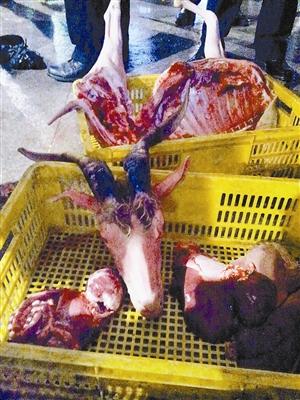 全面阐释:羊头狗肉画虎皮，一言九鼎蛇太子。代表什么动物