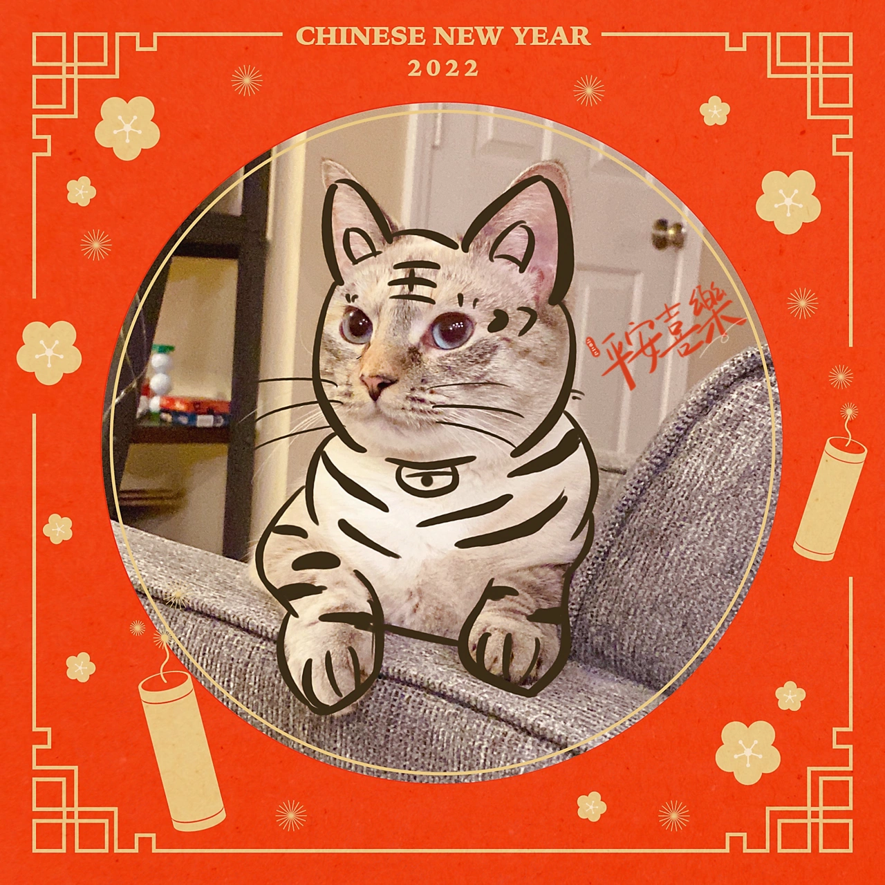 全面阐释:照猫画虎猜一生肖