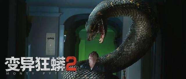 深度剖析:舍生忘死代表什么生肖