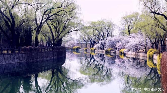 独家观察:春色满园关不住，佳人妩媚天际来打一生肖