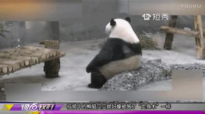 观点输出:羊头狗肉画虎皮，一言九鼎蛇太子。打一动物