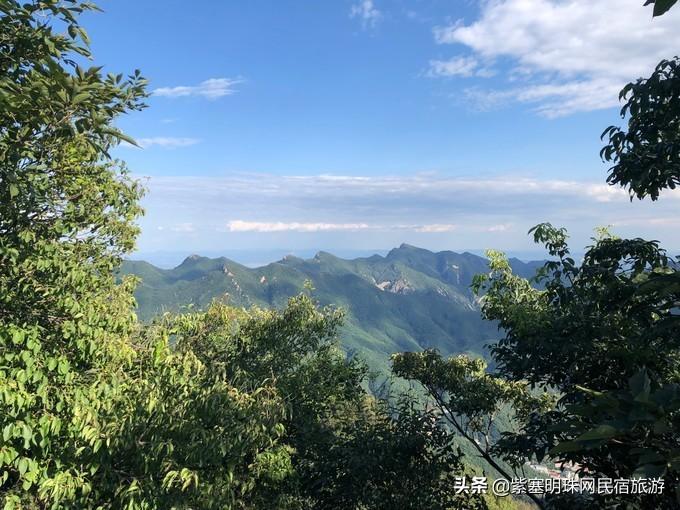 逐项解读:吉祥如意打一生肖动物