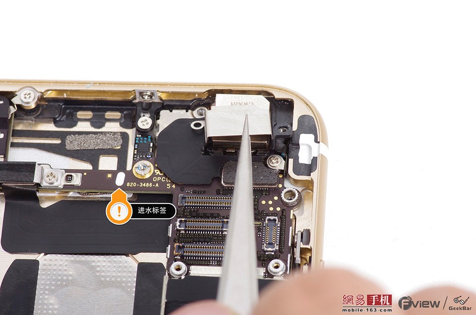 视角拆解:安土重迁不忘本，披发左衽迎旧人指什么生肖