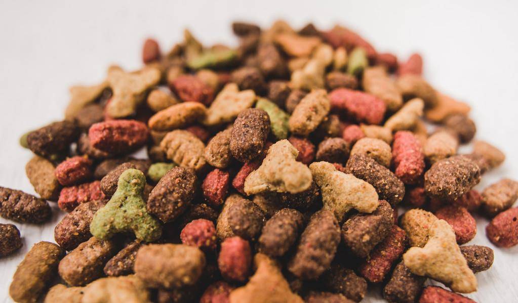 权威解读:越权附势人被迷，保驾护主看先锋是什么生肖