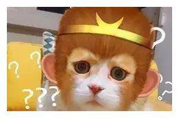 独家稿件:蓝天绿地鸟儿飞，挑得蓝里便是来打一准确生肖动物