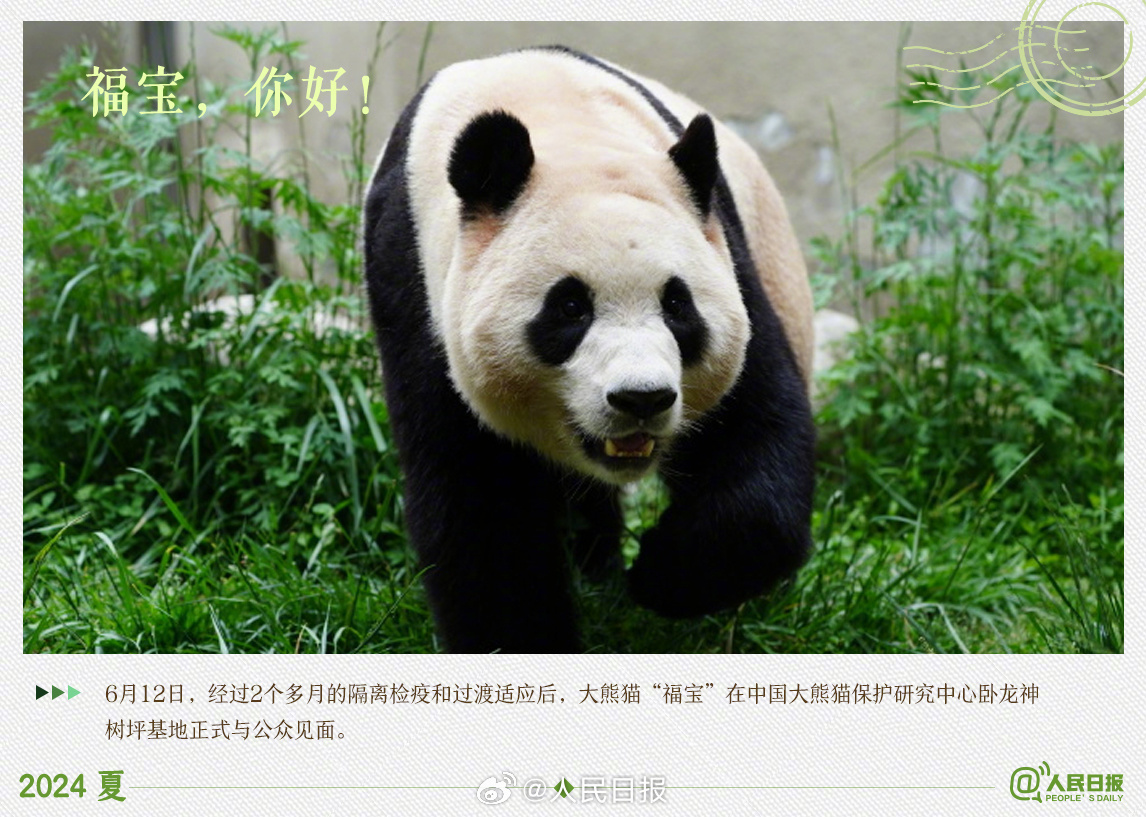 趋势研判:风后日丽好劳动打一动物谜底