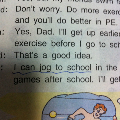 全面阐释:蓝天绿地鸟儿飞，挑得蓝里便是来打一最佳最佳生肖词语