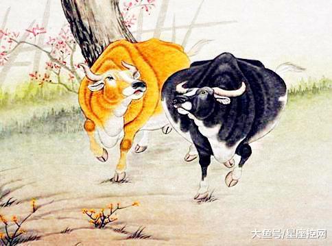 独家观察:嘴尖齿利东复西，唯利是图去复来巧解一最佳最佳生肖