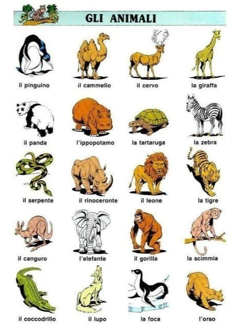 深度剖析:八仙过海-各显种通猜本期动物