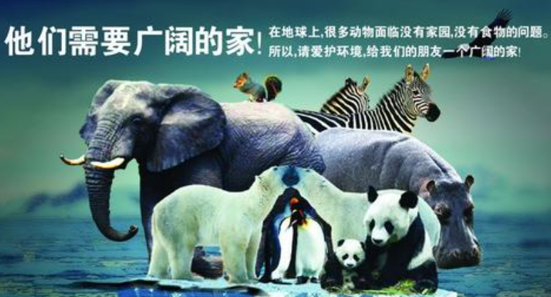 专家解析:越权附势人被迷，保驾护主看先锋猜动物