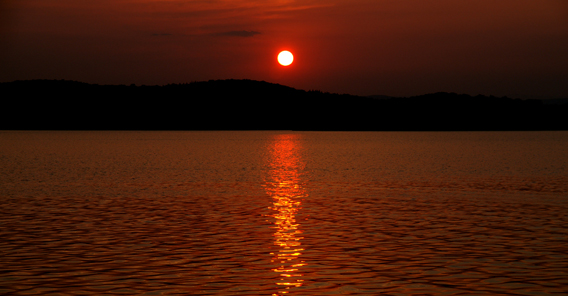 资深分析:不为小利误前途，羽辙交弛夕阳下猜生肖数字