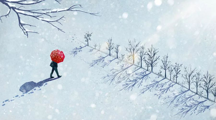 内幕披露:寒风凛凛最正确生肖