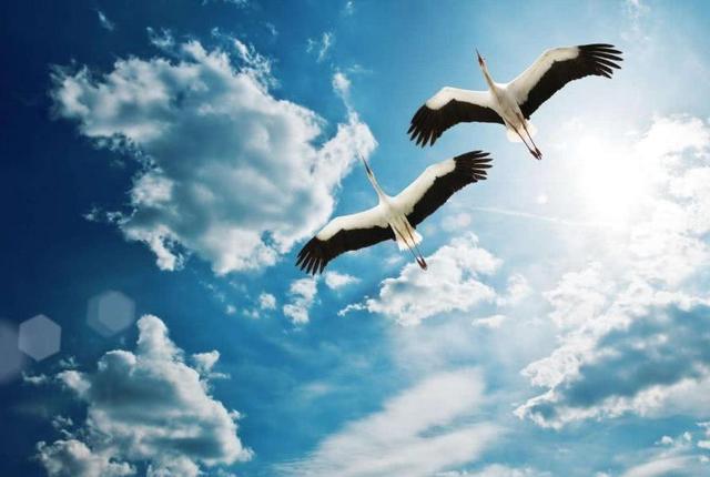 热点剖析:君不用问知基数，只观浮云风雨目猜生肖