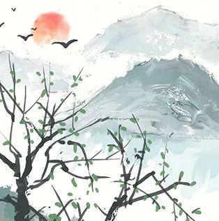 权威解读:梨花落后二清明，三五少年容易老代表什么生肖