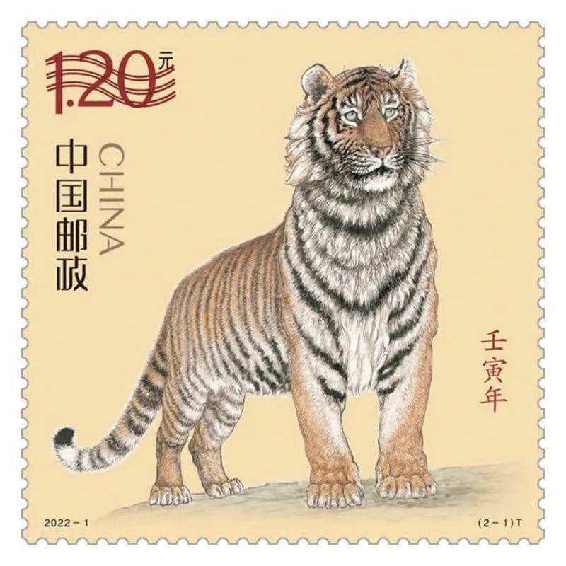 深度报道:照猫画虎猜生肖数字