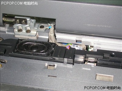 视角拆解:揚威抖擞猜动物