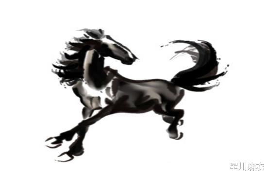 专家解析:马到成功打一最佳生肖