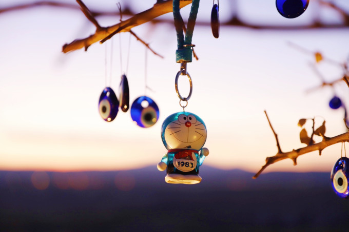 深度剖析:披星戴月是什么生肖