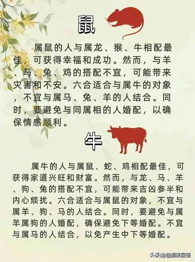 独家专访:相映成趣最正确生肖