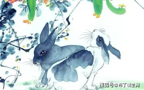 独家调查:得定靈碼投下注，說破玄機不为奇打一准确生肖动物