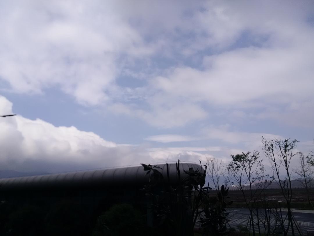 家点评:雨过天晴打一动物谜底