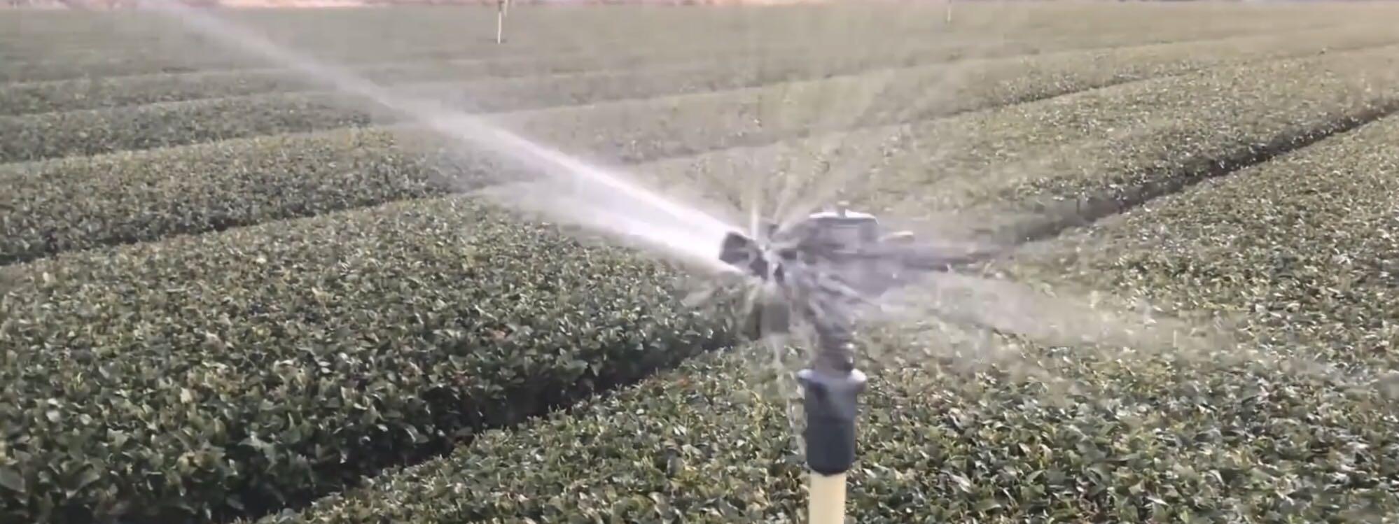 专家解析:英雄难过美人关，牛鬼蛇神合数来本期生肖