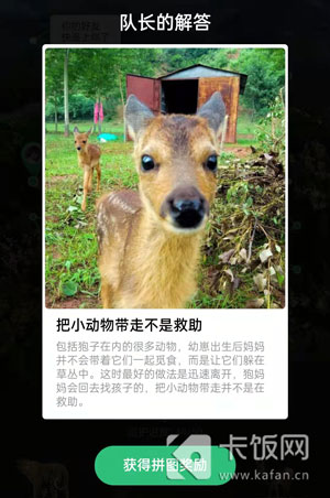 家点评:三九相加出七码，二三零一不相见猜一准确动物