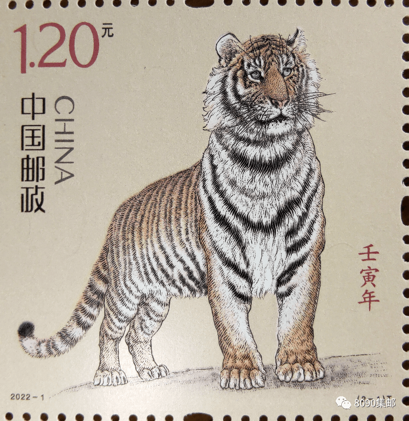 技术阐释:丹槛刻桷打一生肖动物