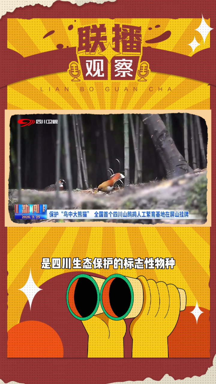 独家观察:今期猪马鸡出特，棠树空留鹤岭前代表什么动物