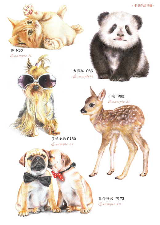 独家观察:大難不死有後福，一丝不苟六让利。对应那种动物