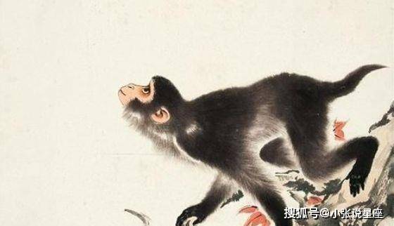 独家专访:二八携手進皇宫，三四今開九得利指什么动物