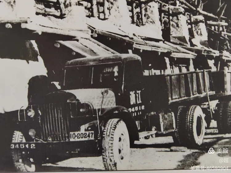 独家稿件:一道东风二七四，一番情义两番意代表什么动物