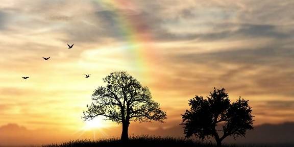 趋势研判:不为小利误前途，羽辙交弛夕阳下猜生肖