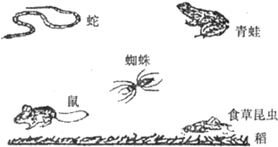 技术阐释:心乱如麻代表什么准确生肖