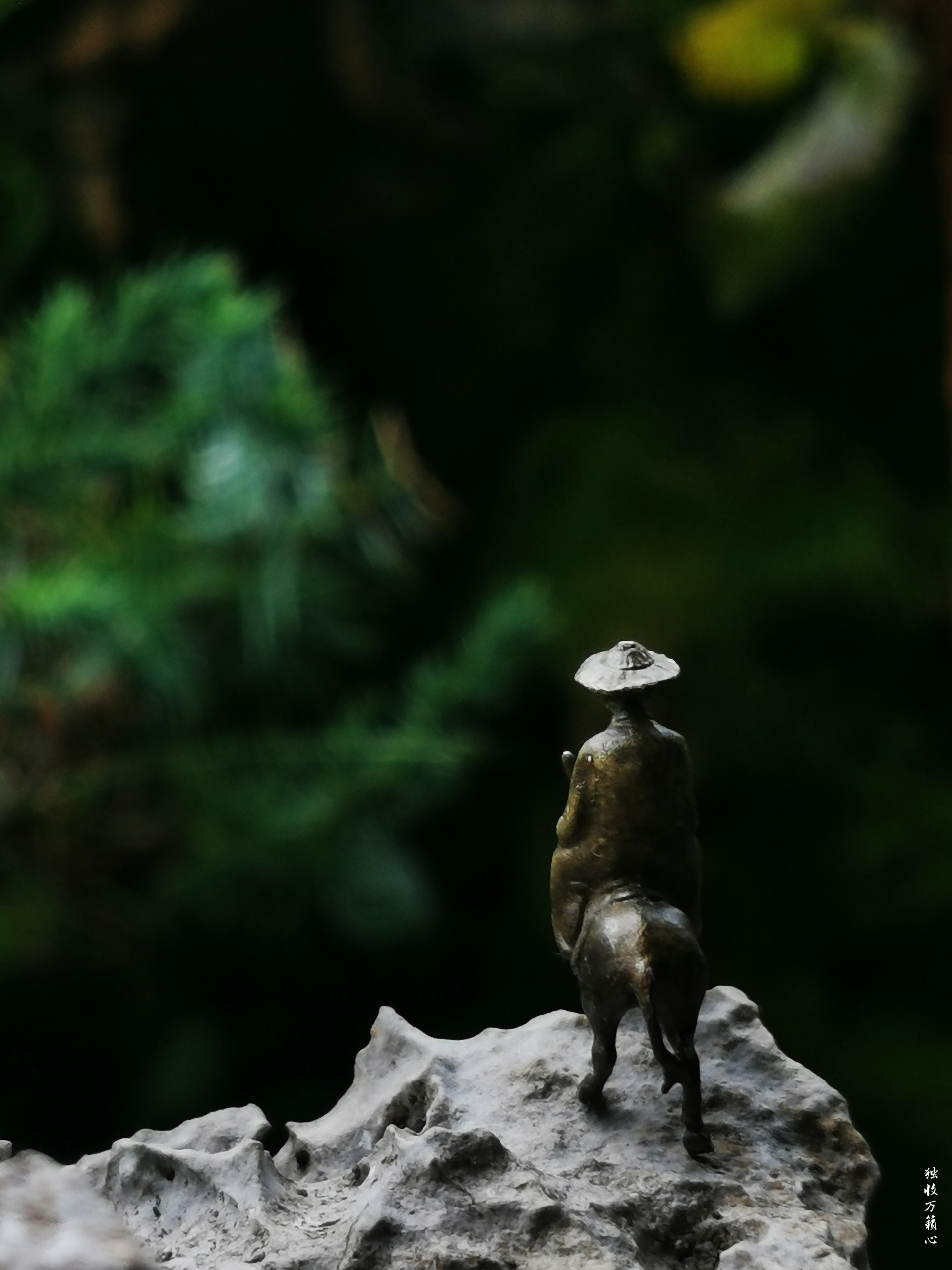 独家解读:凡尘琐事无时尽打一准确动物