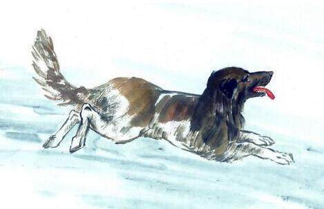 特讯:其乐无穷猜一准确生肖