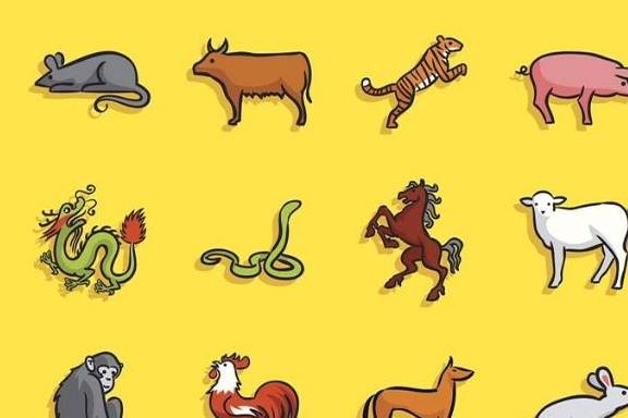 深度报道:稀里哗啦开过什么生肖