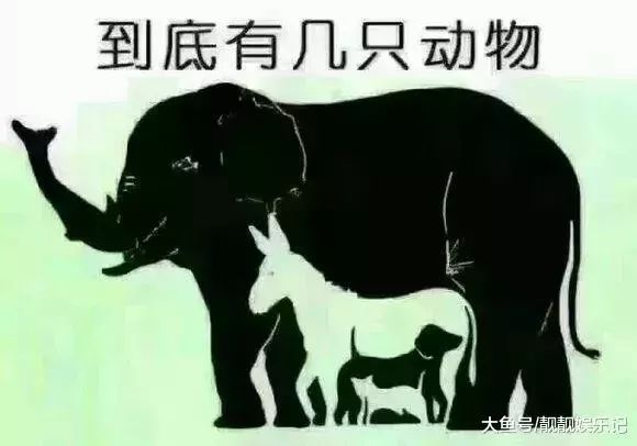 深度报道:稀里哗啦猜一准确动物