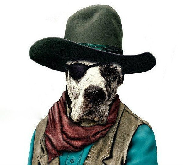 独家稿件:人模狗样代表什么生肖