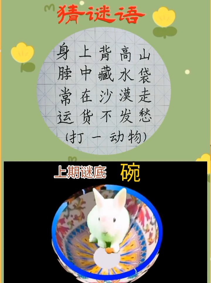 深度剖析:其乐无穷猜本期动物