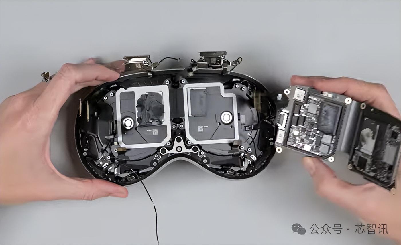 视角拆解:挂名金榜指什么动物