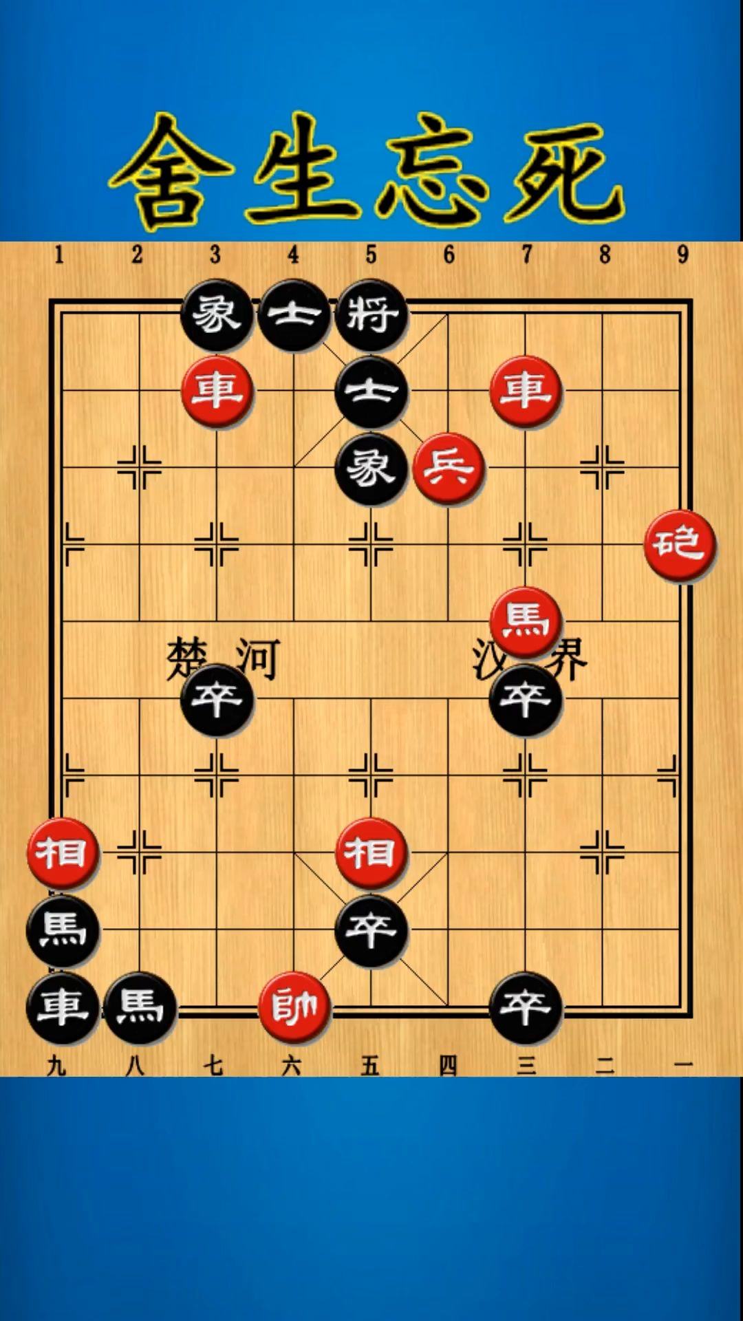 独家观察:舍生忘死巧解一最佳最佳生肖