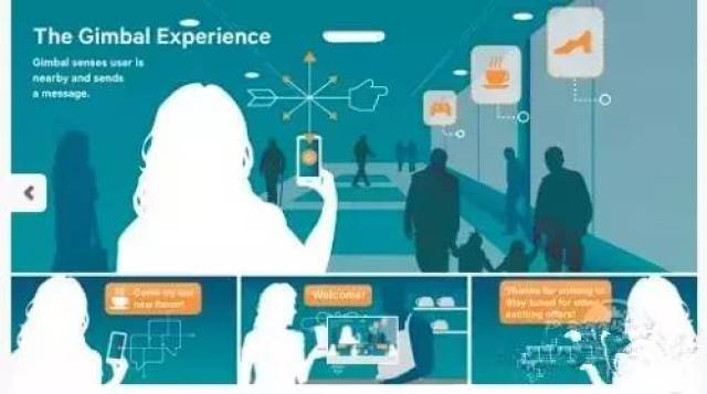 深度剖析:霓旌照耀麒麟指啥动物