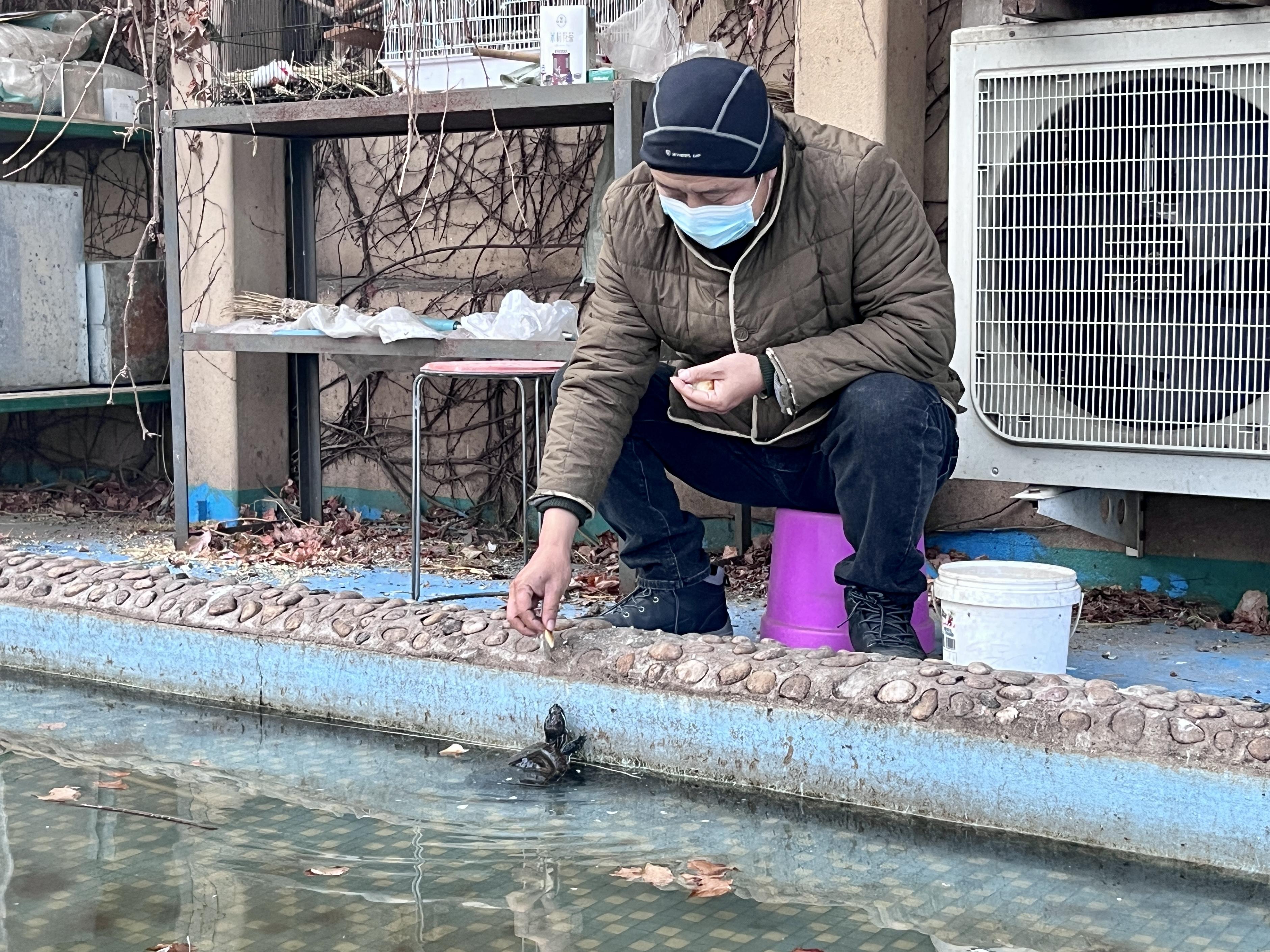 权威解读:得定靈碼投下注，說破玄機不为奇正确答案动物