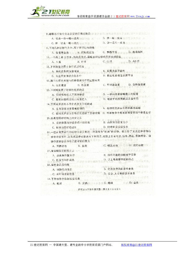 视角拆解:平安是金爲真理，八棱梅花亮銀錘。正确答案动物